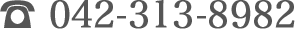 042-313-8982